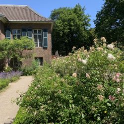 Rosengarten am Stadtmuseum - The roses are still blooming!