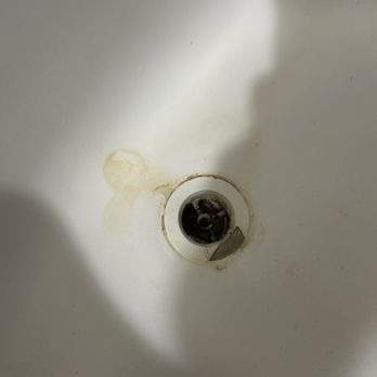Traveler's Table - Bathtub needs to be replaced because there is so much mold underneath everything and it is coming out of the drain - Cocktail Bars Near Me - Houston, Texas Traveler's Table - Bathtub needs to be replaced because there is so much mold underneath everything and it is coming out of the drain - Cocktail Bars Near Me - Houston, Texas