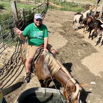 Goldrush Stables & Stage Lines - Mellie! - Horseback Riding Near Me - Pigeon Forge, Tennessee Goldrush Stables & Stage Lines - Mellie! - Horseback Riding Near Me - Pigeon Forge, Tennessee