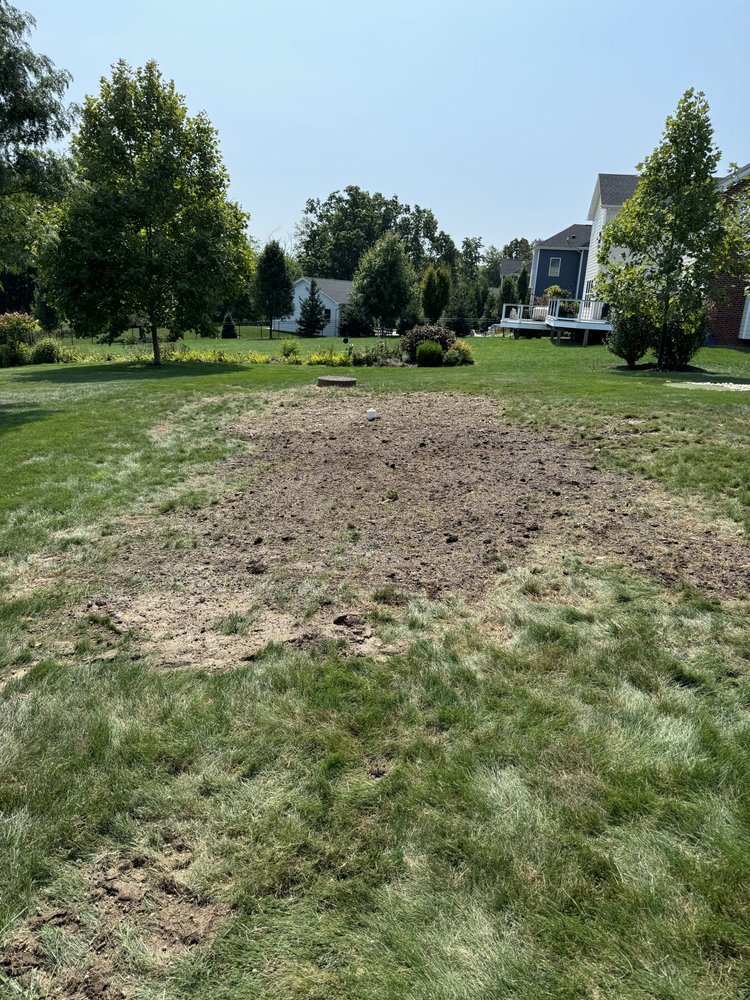 Slide of Pfeuffer Contracting