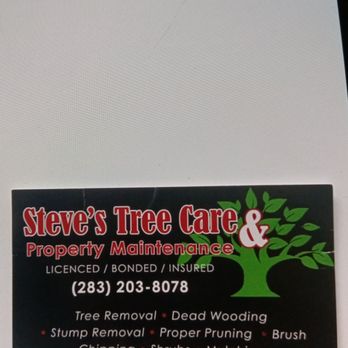 Steve's Tree Care & Property Maintenance - Tree Services Near Me Steve's Tree Care & Property Maintenance - Tree Services Near Me