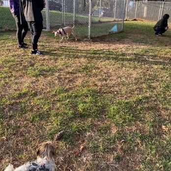 K9 Cody Dog Park - Puppies out having a great time. People are wearing their mask as well. - Dog Parks Near Me - Havre de Grace, Maryland K9 Cody Dog Park - Puppies out having a great time. People are wearing their mask as well. - Dog Parks Near Me - Havre de Grace, Maryland