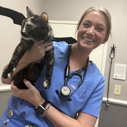 Valley Ranch Pet Clinic - Korra and Dr. Case