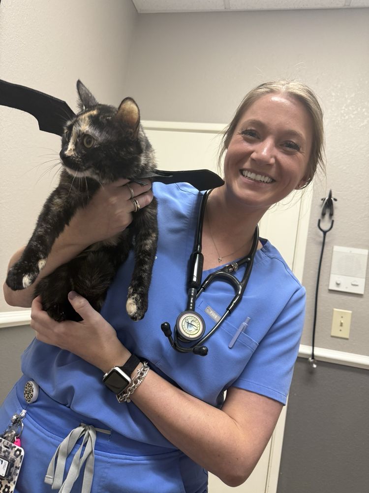 Valley Ranch Pet Clinic - pet boarding facility in Irving, TX