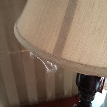 Merry Maids - My lamps are still dusty. - Home Cleaning Near Me - El Cajon, California Merry Maids - My lamps are still dusty. - Home Cleaning Near Me - El Cajon, California