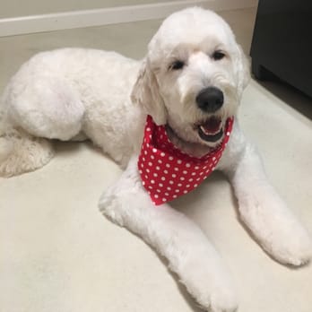 Just Great Grooming - Pet Groomers Near Me - Medford, Oregon Just Great Grooming - Pet Groomers Near Me - Medford, Oregon