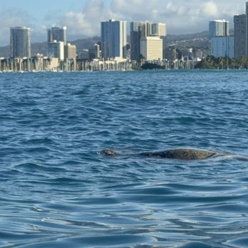 Island Splash Tours - Boat Tours Near Me - Honolulu, Hawaii