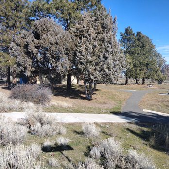 Selah Creek Rest Area - more scrub than greenery - Rest Stops Near Me - Yakima, Washington Selah Creek Rest Area - more scrub than greenery - Rest Stops Near Me - Yakima, Washington