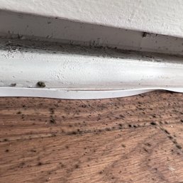 Mold grows from Cracks and rotted wood. villas at monarch beach apartments Mold grows from Cracks and rotted wood. villas at monarch beach apartments