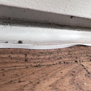 The Villas at Monarch Beach - Mold grows from Cracks and rotted wood. villas at monarch beach apartments - Apartments Near Me - Dana Point, California The Villas at Monarch Beach - Mold grows from Cracks and rotted wood. villas at monarch beach apartments - Apartments Near Me - Dana Point, California