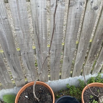 Gardening Express - Gardeners Near Me - Chelmsford, ESS Gardening Express - Gardeners Near Me - Chelmsford, ESS
