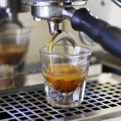 Wild Goose Coffee Roasters