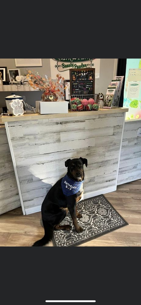 The Bark Park Image