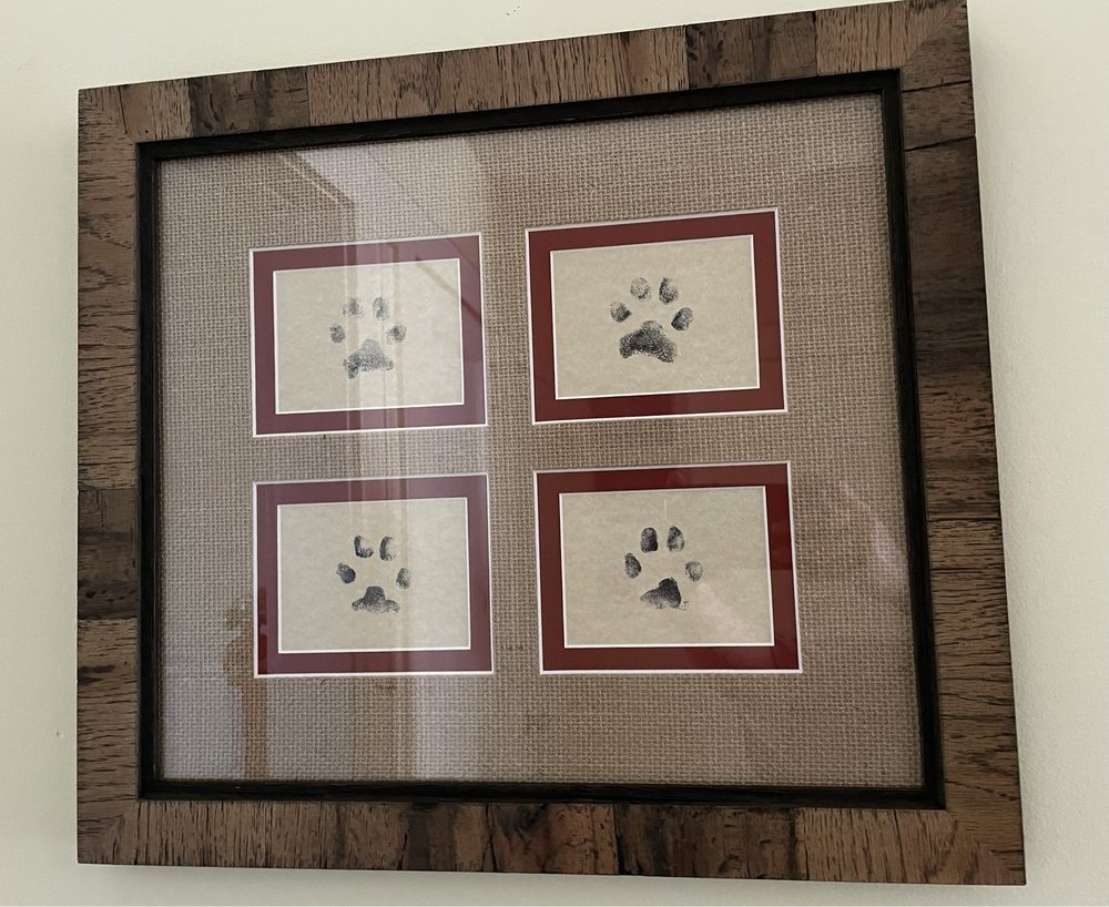 Social spots from Artist Frame Gallery