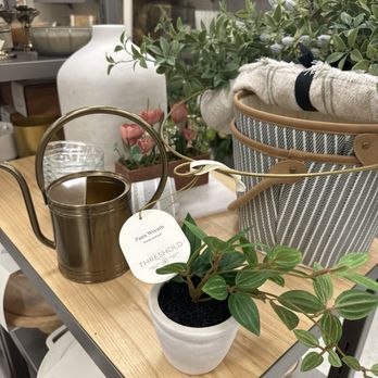 Target - Hearth and Hand. Highly recommend the watering can. - A small potted plant with green and variegated leaves is placed on a wooden shelf in a store display. Surrounding the plant are decorative items including a white vase, a metal watering can, and a striped fabric basket with rolled-up cloth. The background shows additional shelves with various home decor products, indicating a retail environment focused on home accessories and plants. - Department Stores Near Me - Columbus, Ohio