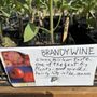 Photo of Natural Farm Stand