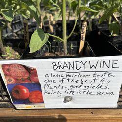Natural Farm Stand