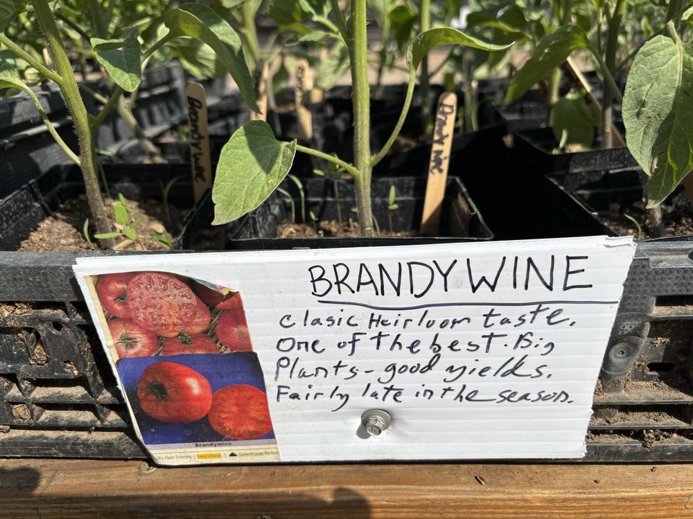 Natural Farm Stand Logo