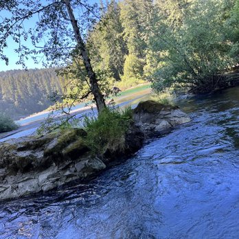 Redwood Sightseeing Tours - Tours Near Me - Crescent City, California