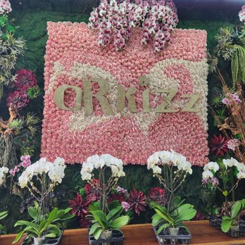 Orkizz - Florists Near Me - Los Angeles, California Orkizz - Florists Near Me - Los Angeles, California