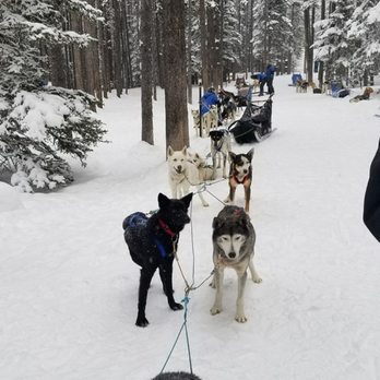 Howling Dog Tours - Tours Near Me Howling Dog Tours - Tours Near Me