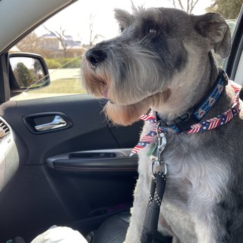 Kelly's K-9 Cuts - Pet Groomers Near Me - Kyle, Texas