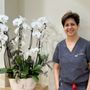 Photo of Saghi Parham, DDS