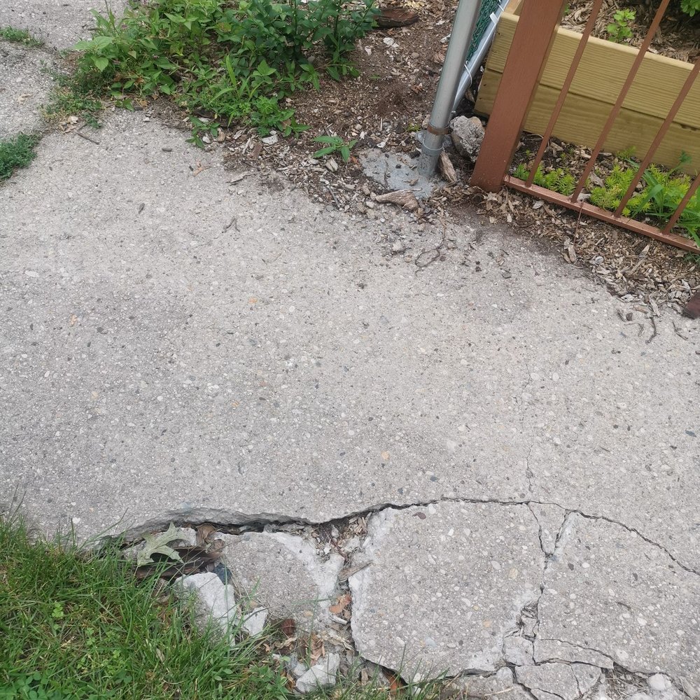Jc Tree Care - Damage sidewalk from tree removal - Tree Services Near Me - Ridgewood, New York Jc Tree Care - Damage sidewalk from tree removal - Tree Services Near Me - Ridgewood, New York
