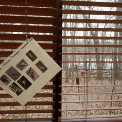 Borgess-ProMed Physicians Family Practice - Bird feeders outside and a bird guide inside!