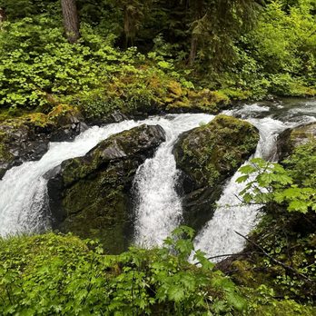 Sol Duc Falls - Hiking Near Me Sol Duc Falls - Hiking Near Me