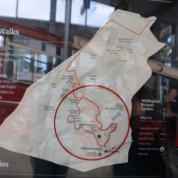 Wellington Cable Car - What's in the area - Public Transportation Near Me - Wellington, WGN