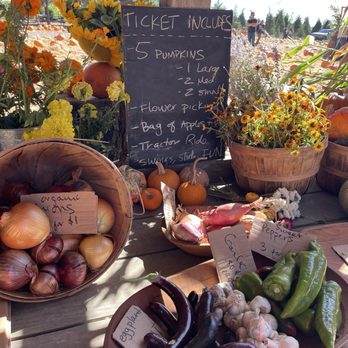 Rancho Siempre Verde - Ticket includes - Christmas Trees Near Me - Pescadero, California Rancho Siempre Verde - Ticket includes - Christmas Trees Near Me - Pescadero, California