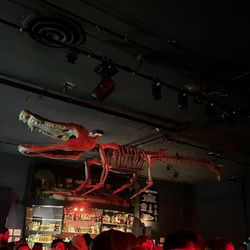 The Crocodile