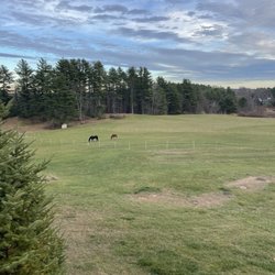 Spring Hill Lodge - View from balcony!