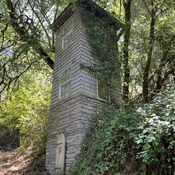 Bamboo Giant Nursery and Gardens - The Rapunzel tower. - Nurseries & Gardening Near Me - Aptos, California Bamboo Giant Nursery and Gardens - The Rapunzel tower. - Nurseries & Gardening Near Me - Aptos, California