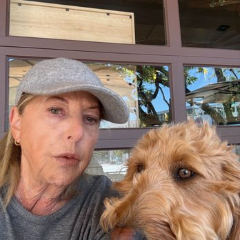 Sweet Wheat - Murphy the Doodle who may or may not have snuck a bite of croissant - Bakeries Near Me - Culver City, California Sweet Wheat - Murphy the Doodle who may or may not have snuck a bite of croissant - Bakeries Near Me - Culver City, California