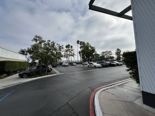 Shake Shack Marina Del Rey by null