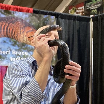 Reptile Super Show - 01/08/23 - Festivals Near Me - Pomona, California Reptile Super Show - 01/08/23 - Festivals Near Me - Pomona, California
