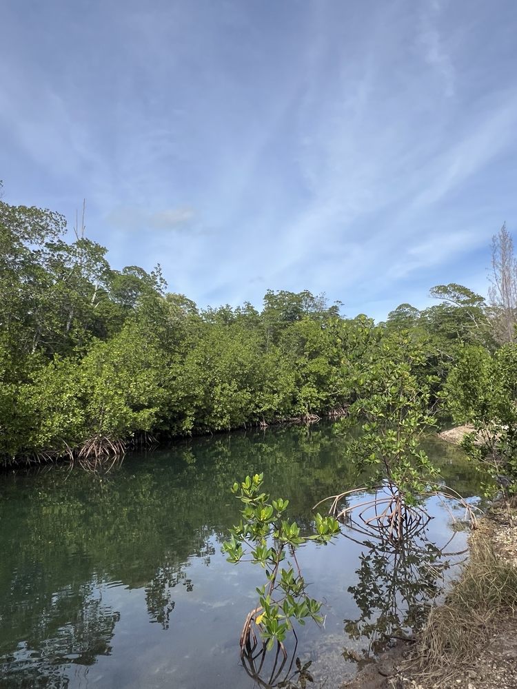 Arch Creek Environmental Preserve Image