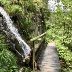 Das Leben spüren - Embrace Life - Magical landscapes - where are the fairies?