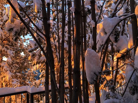 Pine Ridge Inn by null