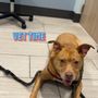 Photo of Loch Haven Veterinary Hospital