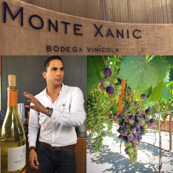 Monte Xanic - Wine Bars Near Me - Ensenada, BCN
