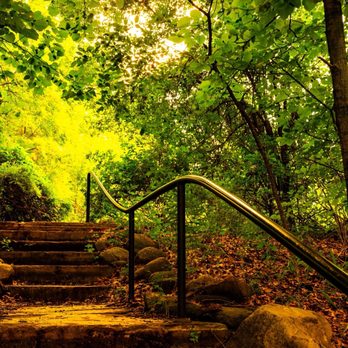 Historic Bridge Park - Staircase in spring light - Parks Near Me - Battle Creek, Michigan Historic Bridge Park - Staircase in spring light - Parks Near Me - Battle Creek, Michigan