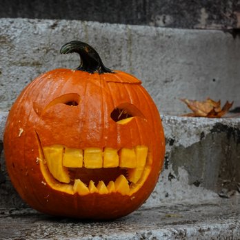 sam a.m - Apparently Sam is a talented freehanded pumpkin carver too! - Cafes Near Me - Jersey City, New Jersey sam a.m - Apparently Sam is a talented freehanded pumpkin carver too! - Cafes Near Me - Jersey City, New Jersey