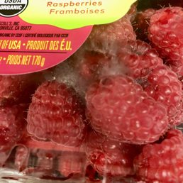 Moldy raspberries Moldy raspberries