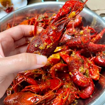 Mo City Crawfish - House sauce, medium spice. Almost all of them were huge! - Seafood Near Me - Missouri City, Texas Mo City Crawfish - House sauce, medium spice. Almost all of them were huge! - Seafood Near Me - Missouri City, Texas