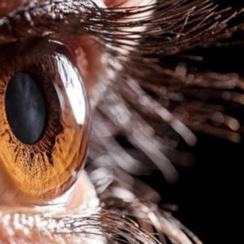 Refocus - Ophthalmology Physicians & Surgeons, PC | Hatboro, PA - Ophthalmologists Near Me - Hatboro, Pennsylvania Refocus - Ophthalmology Physicians & Surgeons, PC | Hatboro, PA - Ophthalmologists Near Me - Hatboro, Pennsylvania