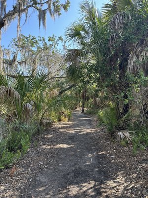 Weedon Island Preserve by null