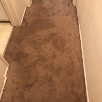 Clean Carpet 911 - Carpet Cleaning Near Me